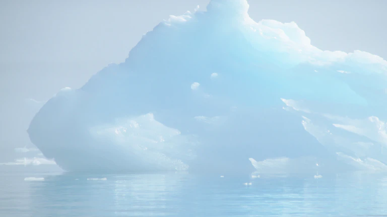 깔끔하게 정돈된 현관