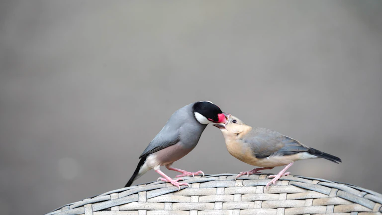 남편 일지 충, 이혼 위기 극복하는 현실적 조언 1 부부가 심각한 표정으로 대화하고 있는 모습