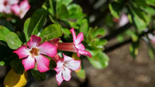 돈복이 끊겨도 새로운 부를 만드는 비법 1