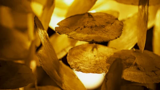 2026년 병오년 띠별 재물운 7