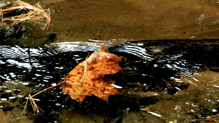 불과 물이 조화를 이루는 형상