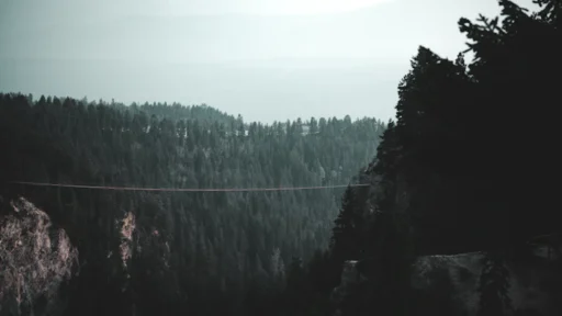 돈 걱정 없이 사는 부자들의 비밀, 지금 바로 확인하세요. 3