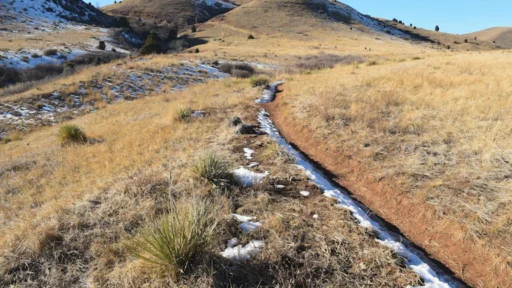 사주 개명 재물운 돈복 잡는 비법 13