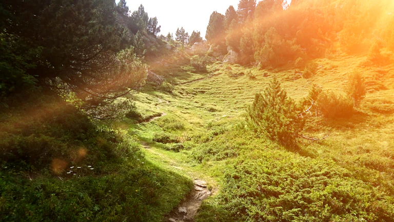성공을 향해 뻗어 있는 황금빛 길