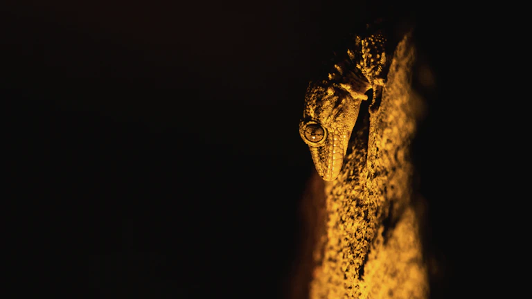 뜨거운 불길 속에서 단련되는 황금 검의 형상