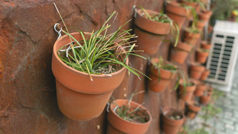 화분에 심어진 푸른 식물