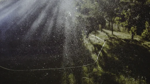 미련 때문에 새로운 시작 못 할 때 9