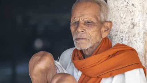 2024년 갑진년 일주별 재물운 쇠(衰)지 재물운, 노련함으로 큰 부를 일구는 지혜 5