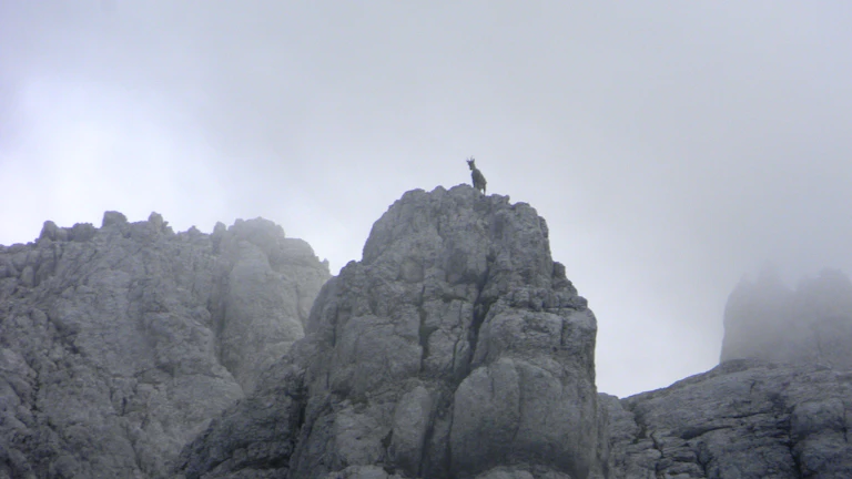 목표를 달성한 사람