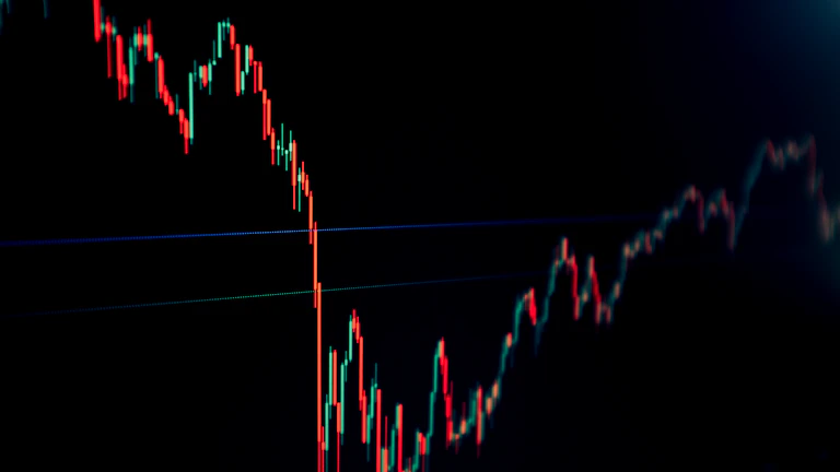 주식에 투자하는 사람
