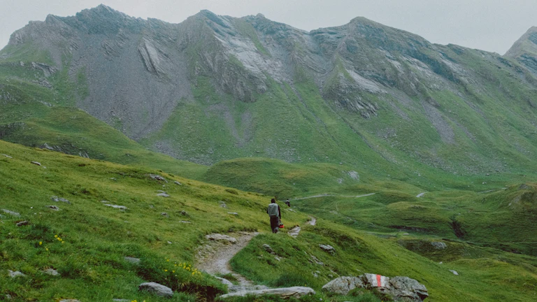 산길을 걷는 사람