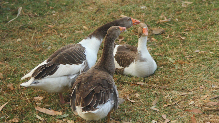 사기 당할 사주 내 재산 지키는 법 2 의심스러운 계약서를 꼼꼼하게 살펴보는 사람