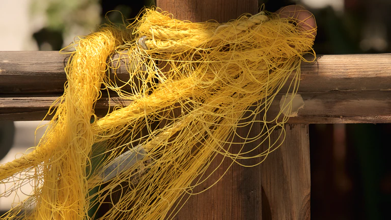 복잡하게 얽힌 실타래