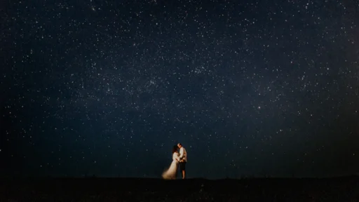 운명에 숨겨진 천직을 발견하세요 7