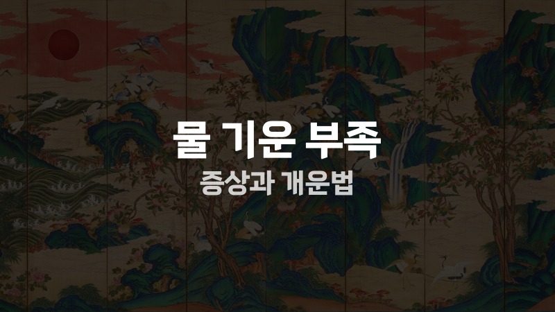 물 기운 부족 증상과 개운법
