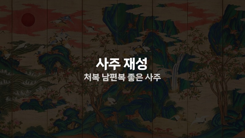 사주 재성 처복 남편복 좋은 사주