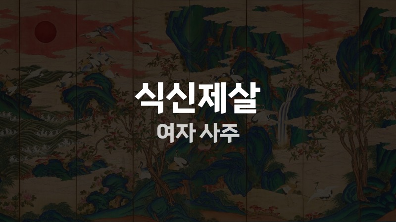식신제살 여자 사주
