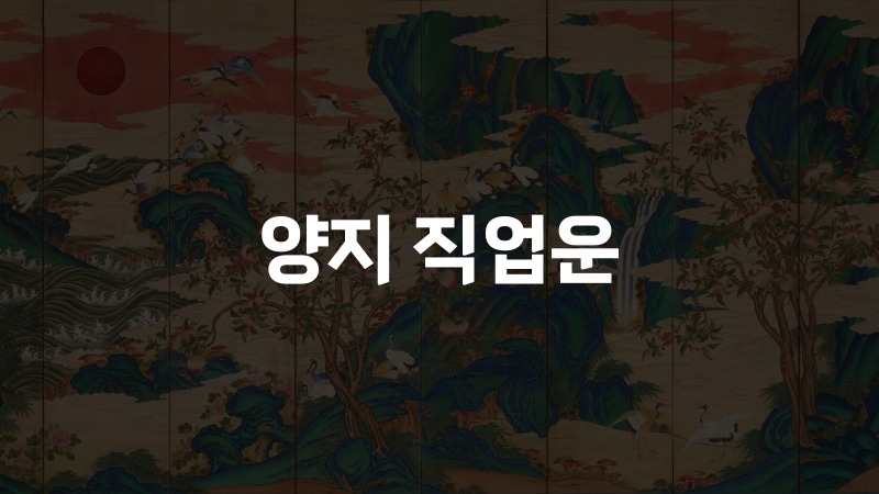 양지 직업운