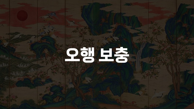 오행 보충