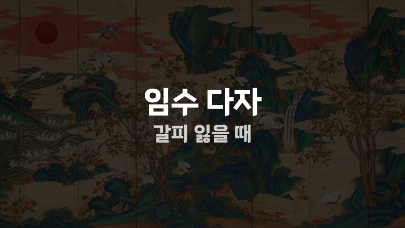 임수 다자 갈피 잃을 때