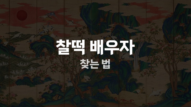 찰떡 배우자 찾는 법