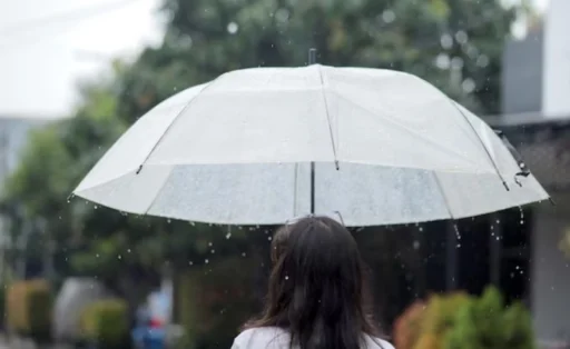 사주 명리학의 12월지별 조후(調候) 적합도 및 상보적 궁합 관계에 관한 연구 5