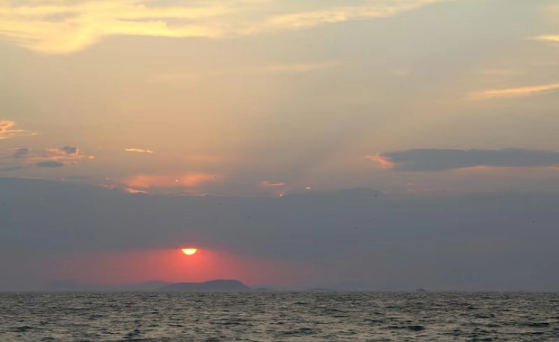 사주 재물운 들어오는 시기 십이운성 발복 지점 2026년 2 타오르는 일출의 기운