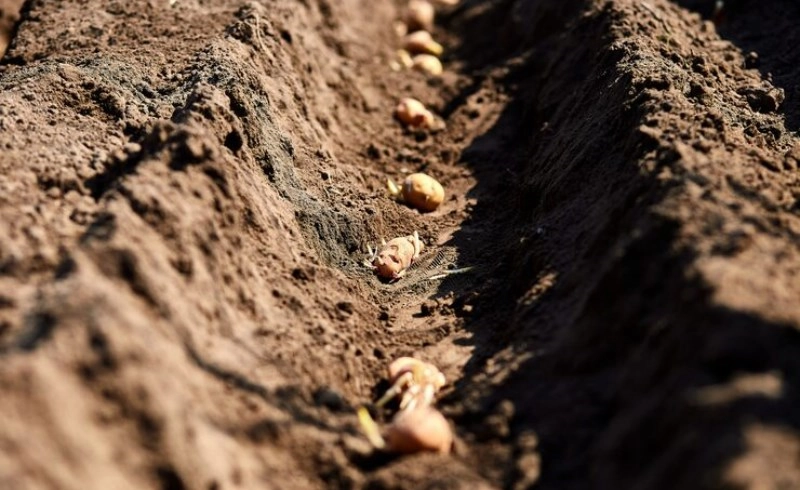 지장간해석 합충 변화 분석 알고 나서 내 삶의 방향이 바뀐 실제 경험담 1