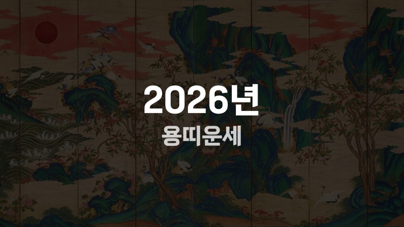 2026년 용띠운세