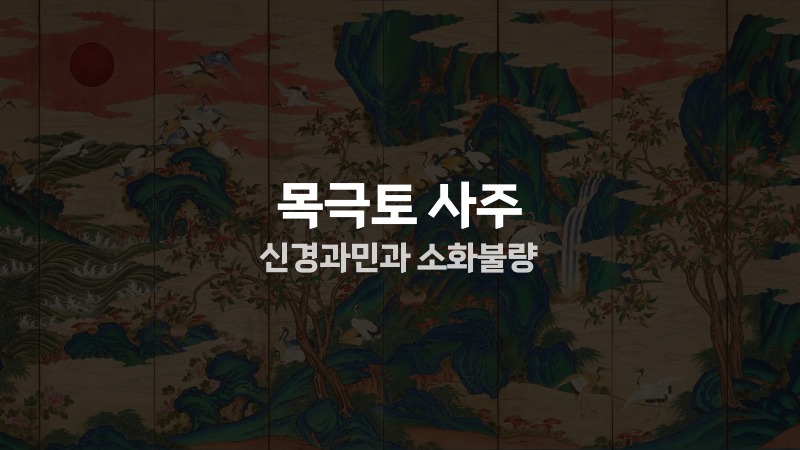 목극토 사주 신경과민과 소화불량