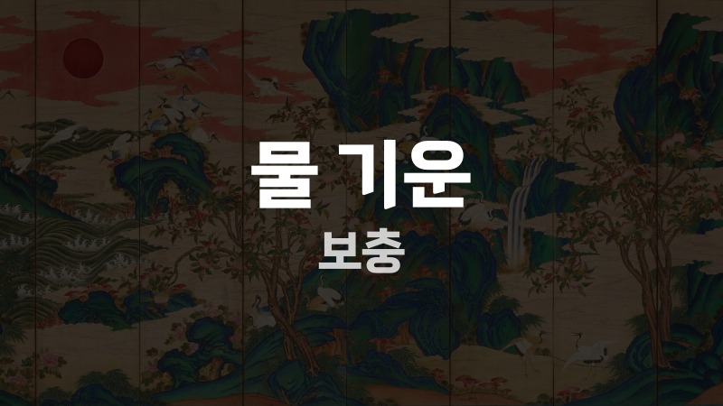 물 기운 보충