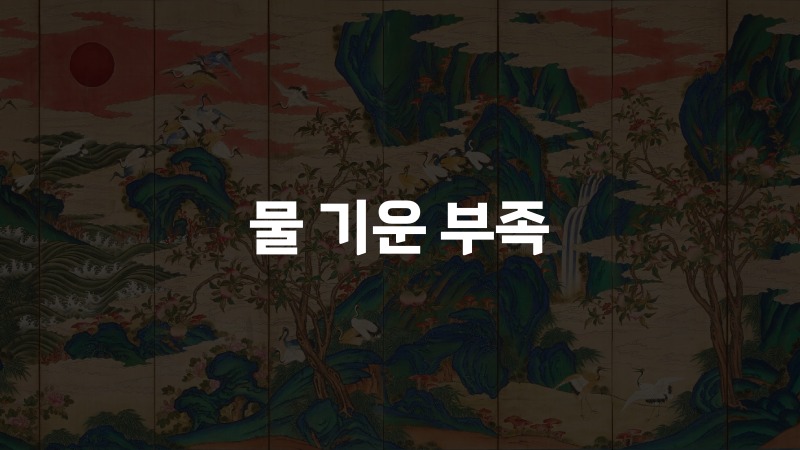 물 기운 부족