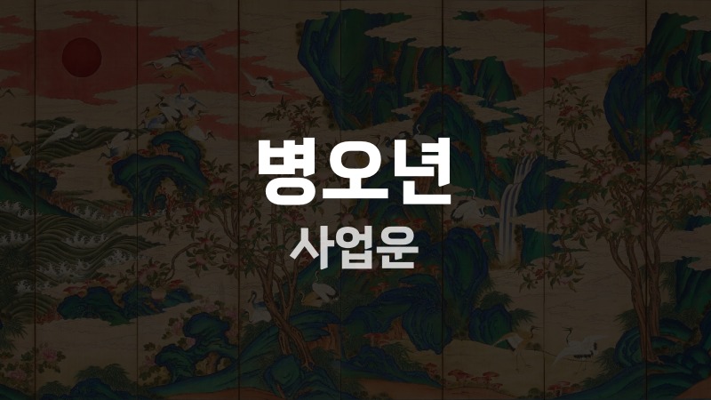 병오년 사업운