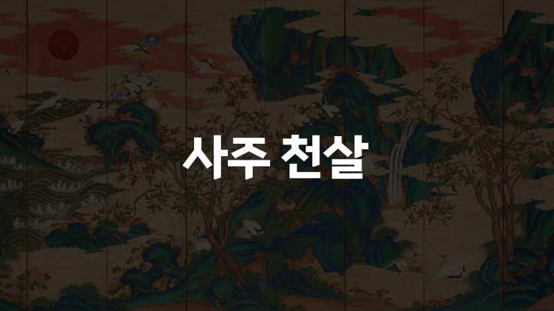사주 천살