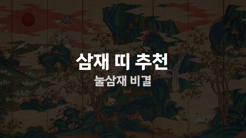삼재 띠 추천 눌삼재 비결