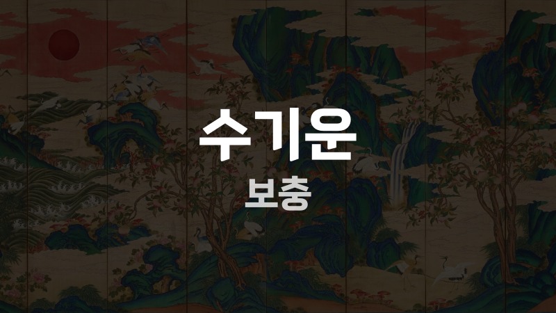 수기운 보충