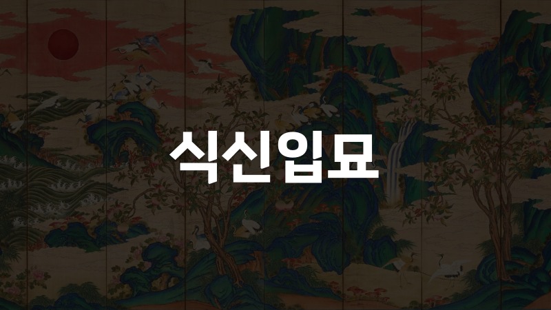식신입묘
