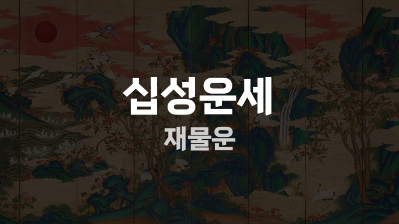 십성운세 재물운