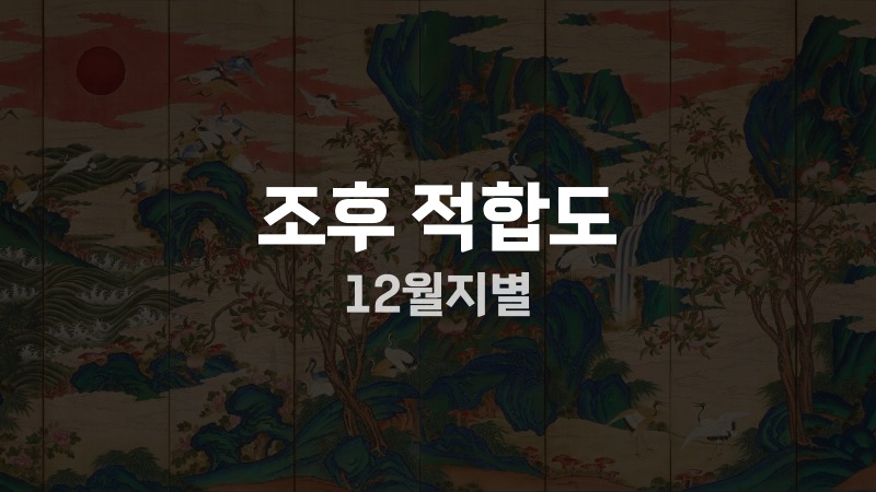 조후 적합도 12월지별