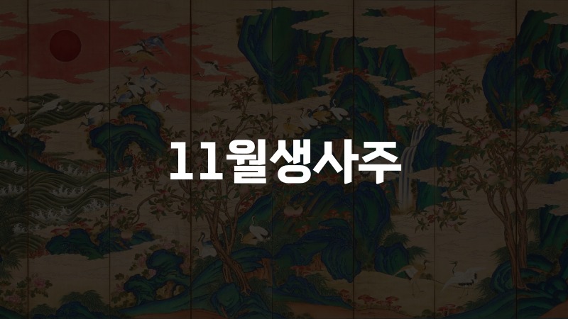 11월생사주