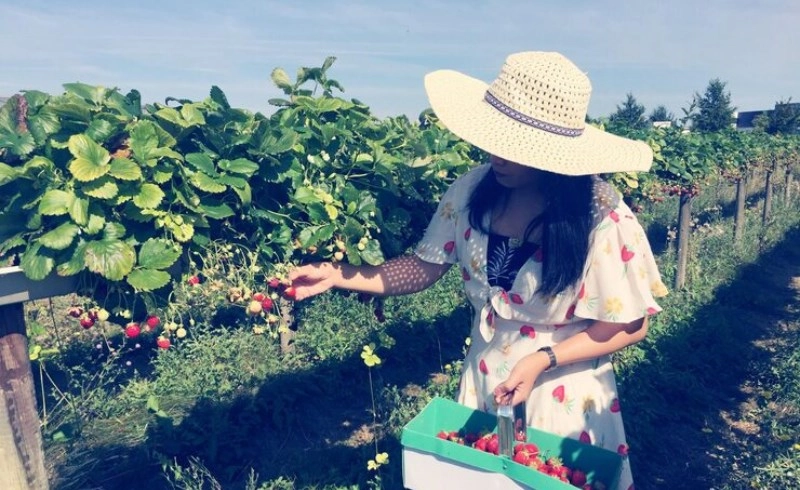 무재사주 재물운 들어오는 시기 지장간 재성 발현 돕는 식상운 활용 통변법 2 풍성한 수확을 거두는 농부의 모습