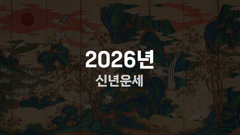 2026년 신년운세