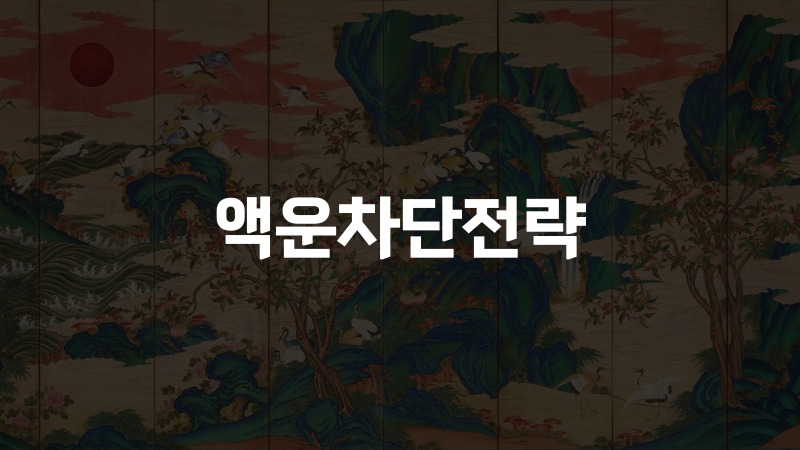 액운차단전략 신살론으로 보는 공망·도화살 대처법 12