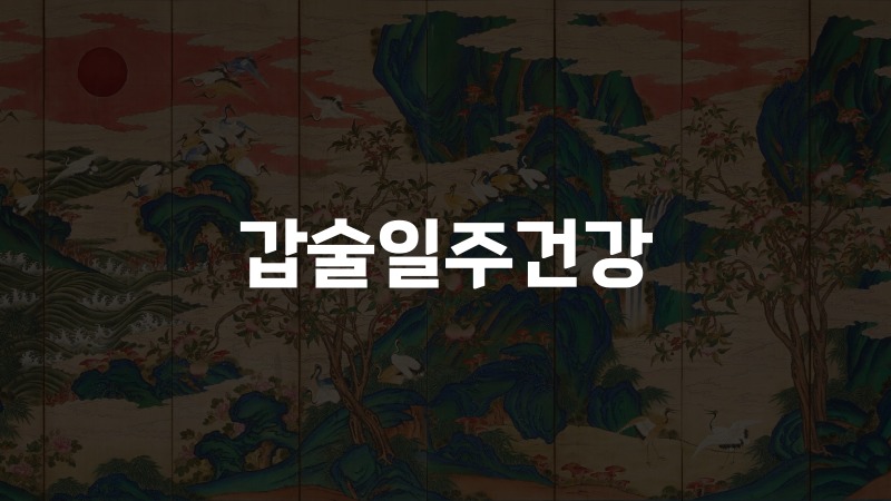 갑술일주건강