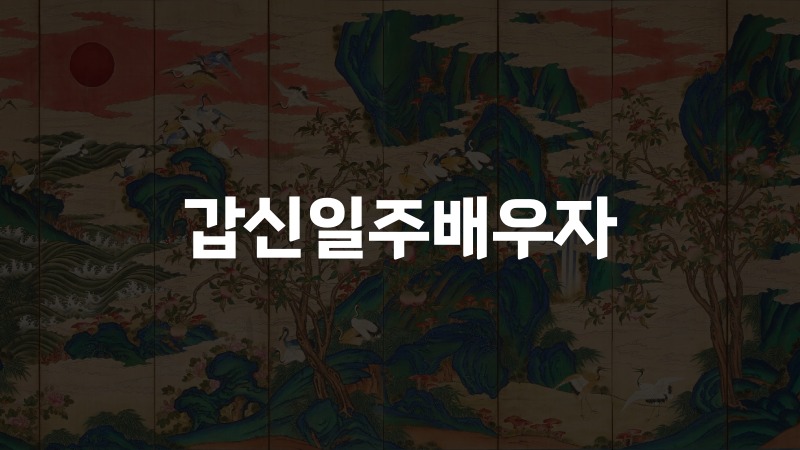 갑신일주배우자