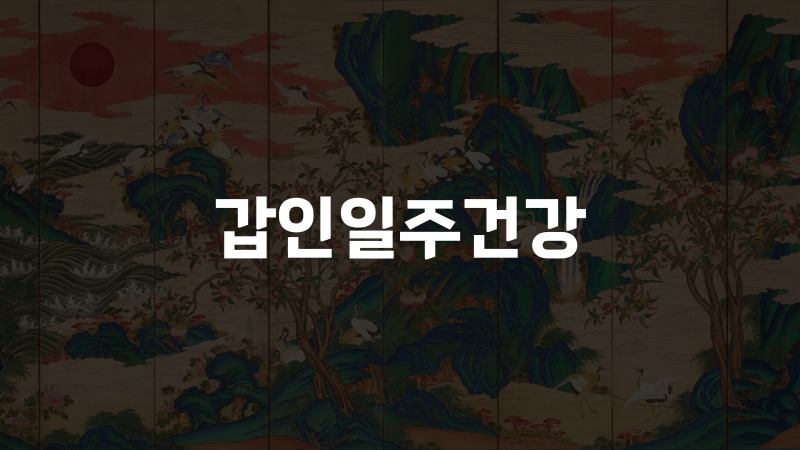갑인일주건강