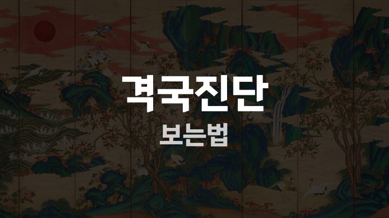 격국진단 보는법