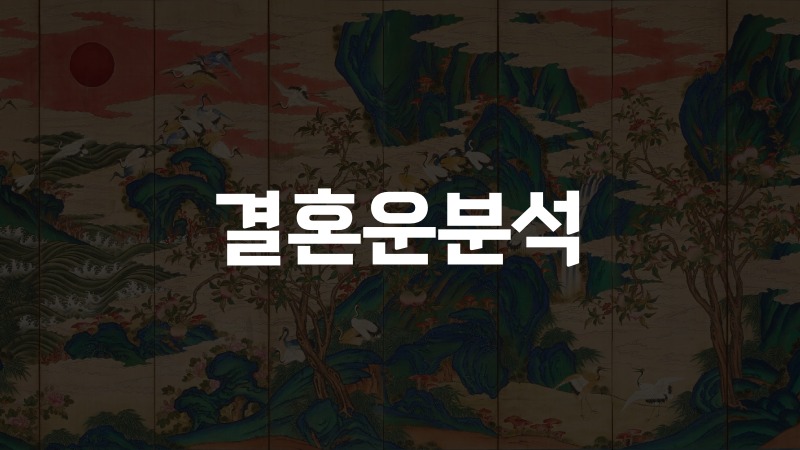 결혼운분석