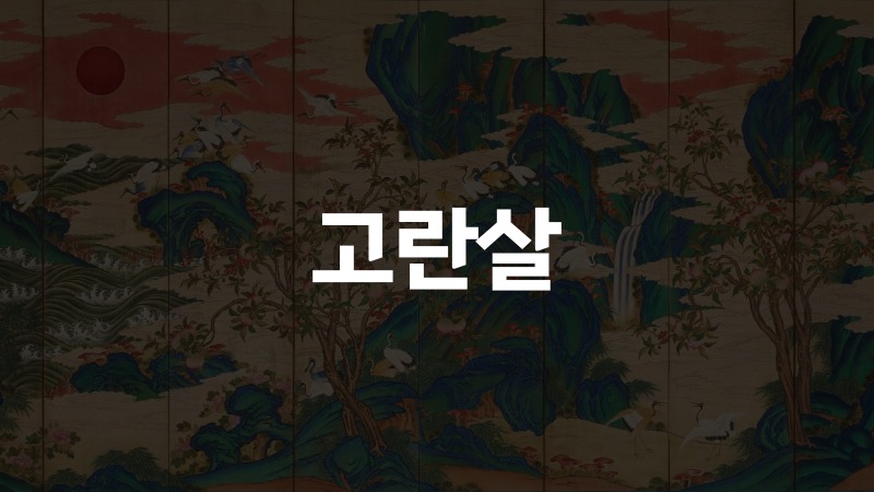 고란살