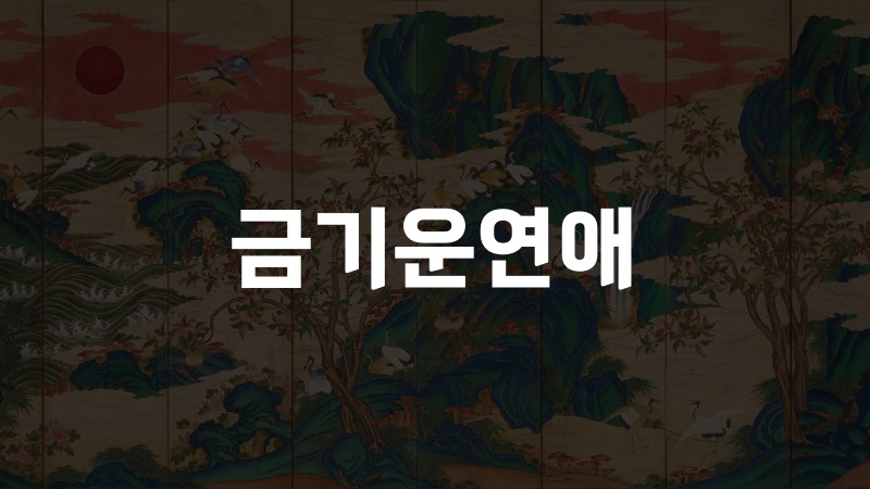 금기운연애